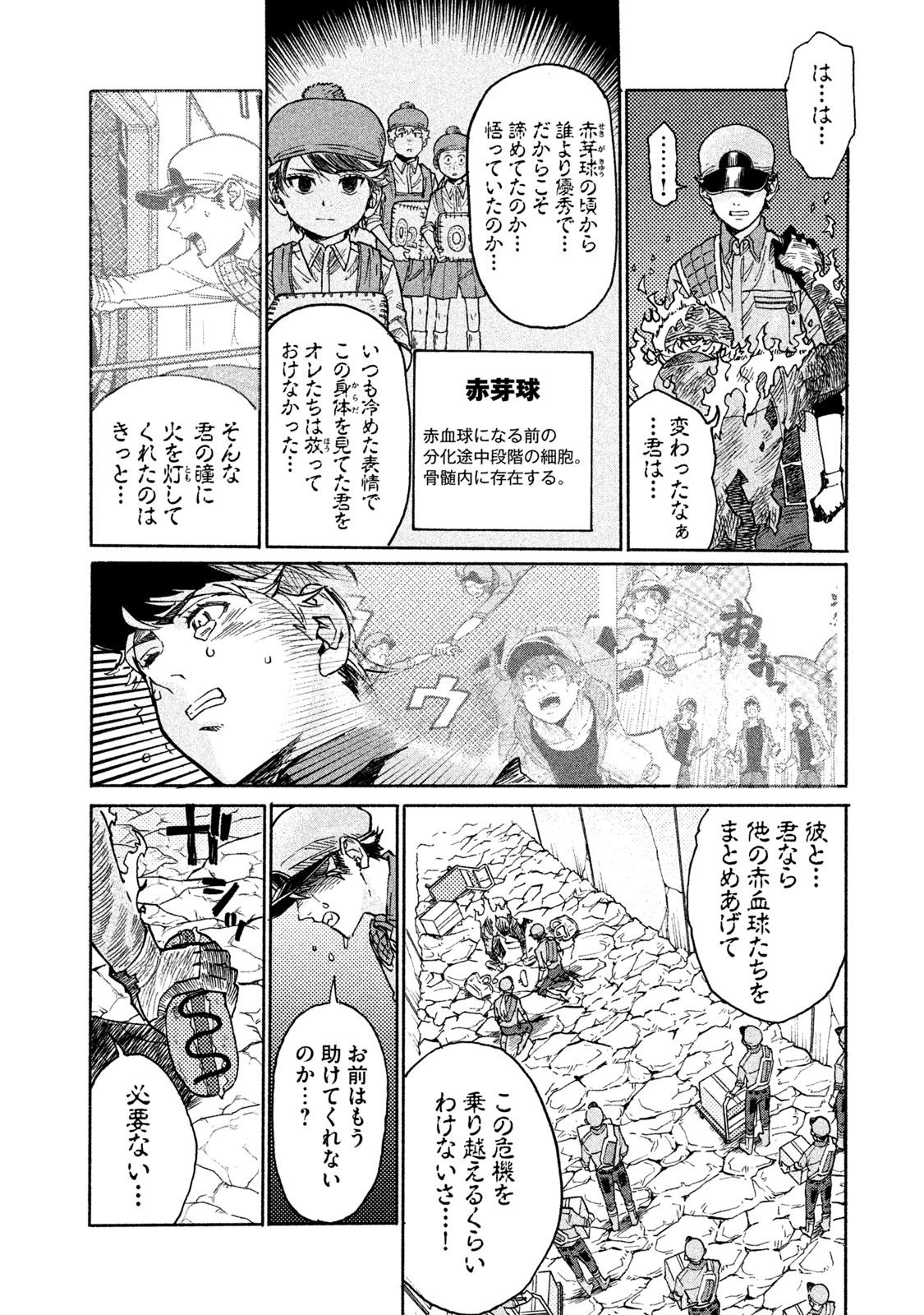 Hataraku Saibou BLACK - Chapter 25 - Page 10